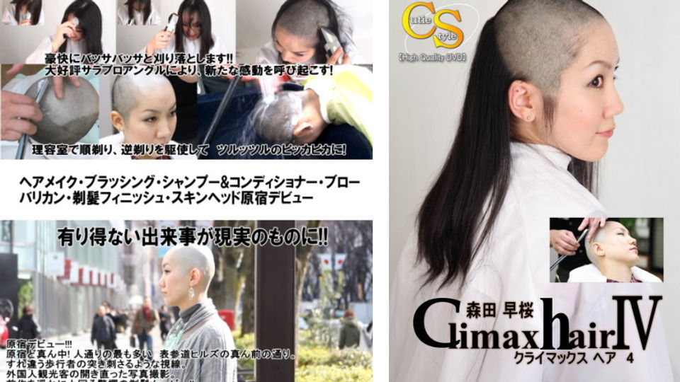 category_climax | LonghairJapan